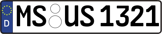 MS-US1321