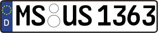 MS-US1363