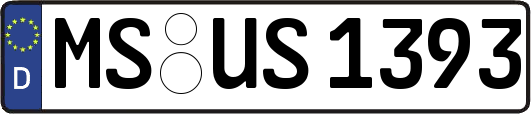 MS-US1393