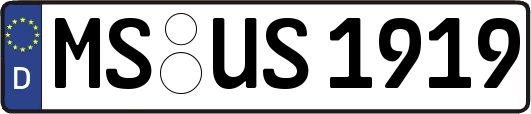 MS-US1919