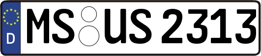 MS-US2313