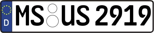 MS-US2919