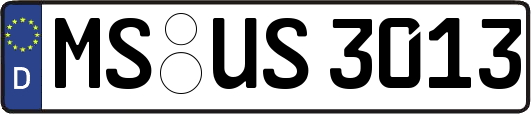 MS-US3013