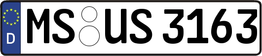 MS-US3163