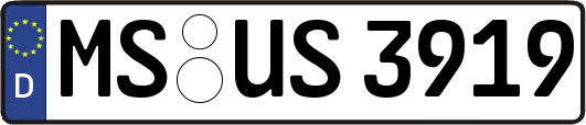 MS-US3919