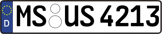 MS-US4213