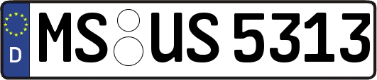 MS-US5313