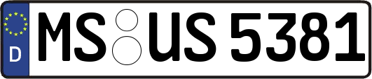 MS-US5381