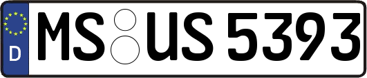 MS-US5393