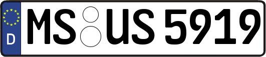 MS-US5919