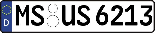 MS-US6213
