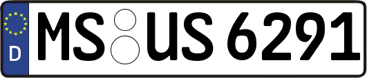 MS-US6291