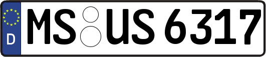 MS-US6317