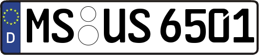 MS-US6501