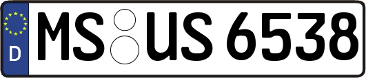 MS-US6538