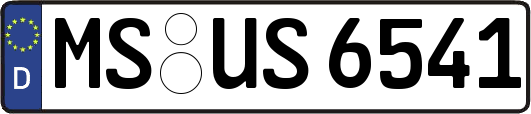MS-US6541