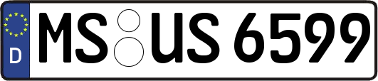 MS-US6599