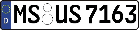 MS-US7163