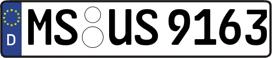 MS-US9163