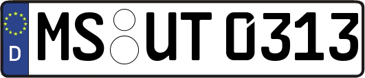 MS-UT0313