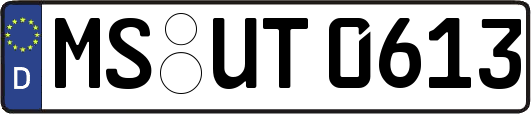 MS-UT0613