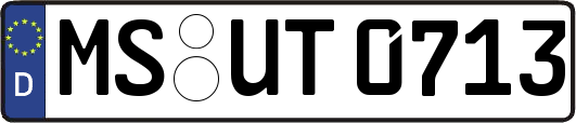 MS-UT0713