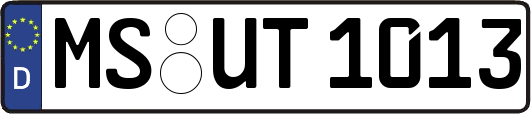 MS-UT1013