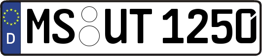 MS-UT1250