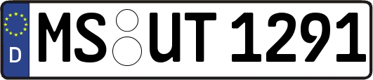 MS-UT1291