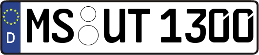 MS-UT1300