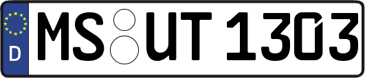 MS-UT1303