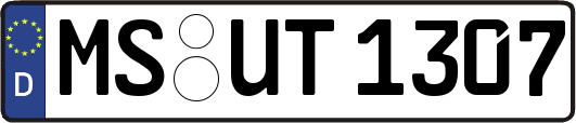 MS-UT1307