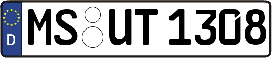 MS-UT1308