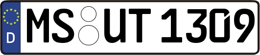 MS-UT1309