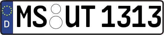 MS-UT1313