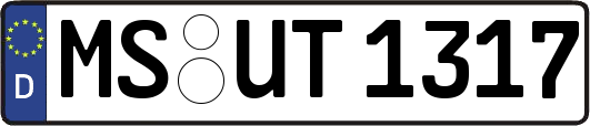 MS-UT1317