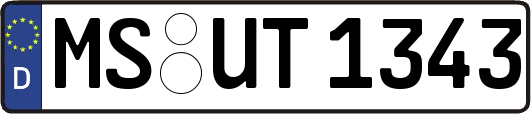 MS-UT1343