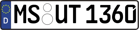 MS-UT1360