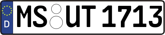 MS-UT1713