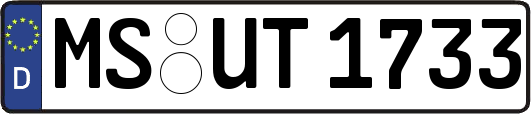 MS-UT1733