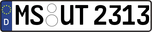 MS-UT2313