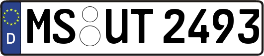 MS-UT2493