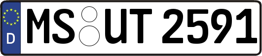 MS-UT2591