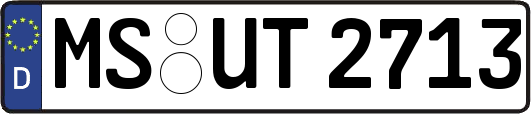 MS-UT2713