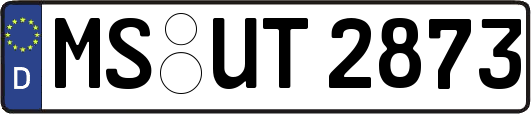 MS-UT2873