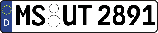 MS-UT2891