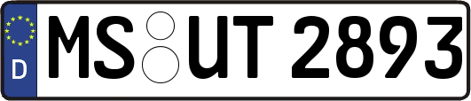 MS-UT2893
