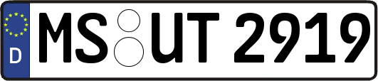 MS-UT2919