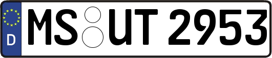 MS-UT2953