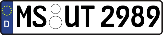 MS-UT2989